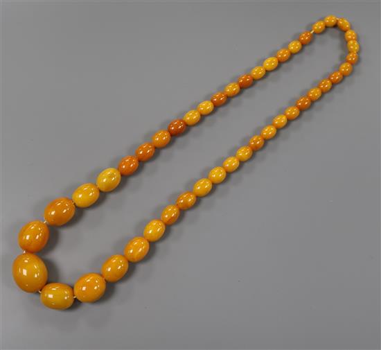 A single strand graduated oval amber bead necklace, gross 58 grams, 62cm.